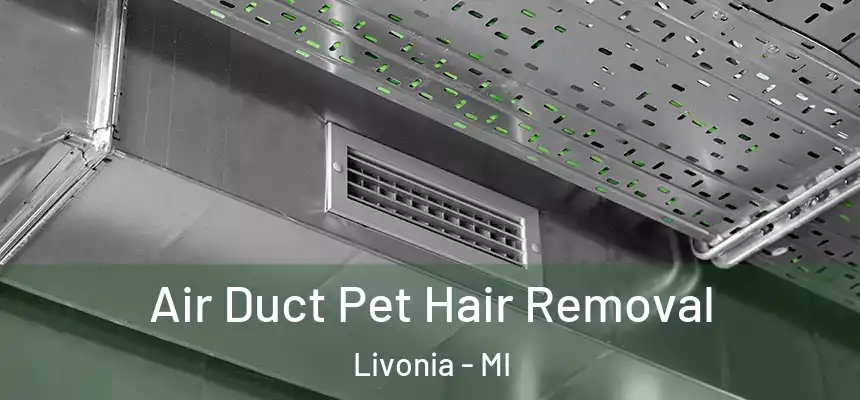 Air Duct Pet Hair Removal Livonia - MI
