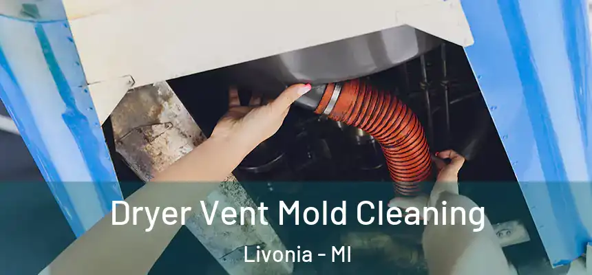 Dryer Vent Mold Cleaning Livonia - MI