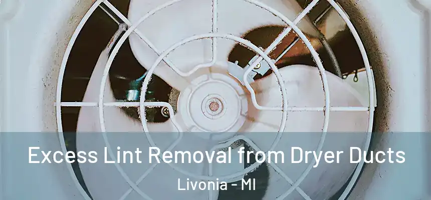 Excess Lint Removal from Dryer Ducts Livonia - MI