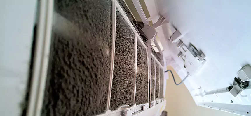 Preventive Air Duct Bacteria Removal in Livonia