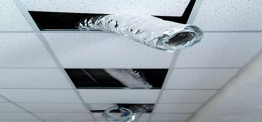 Our Air Duct Pet Hair Removal Services in Livonia, MI