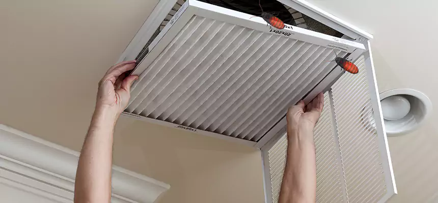 Our Insect Removal from Air Ducts Services in Livonia, MI