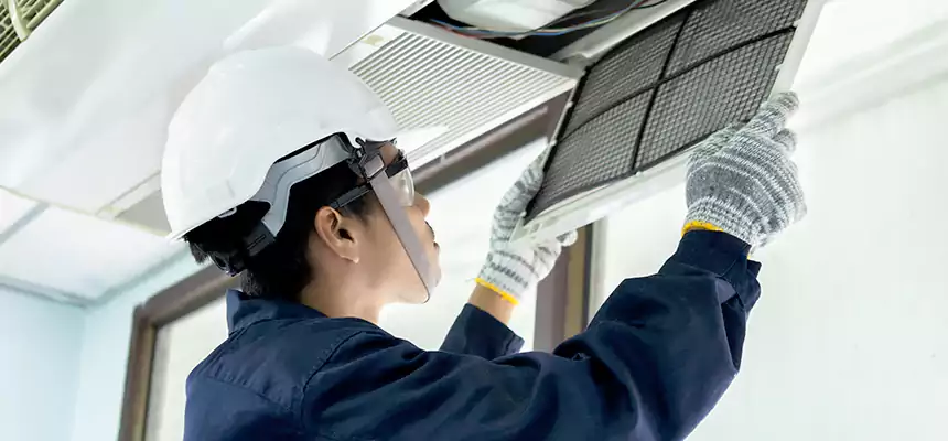 Our Mold & Mildew Removal from Air Ducts Services in Livonia, MI