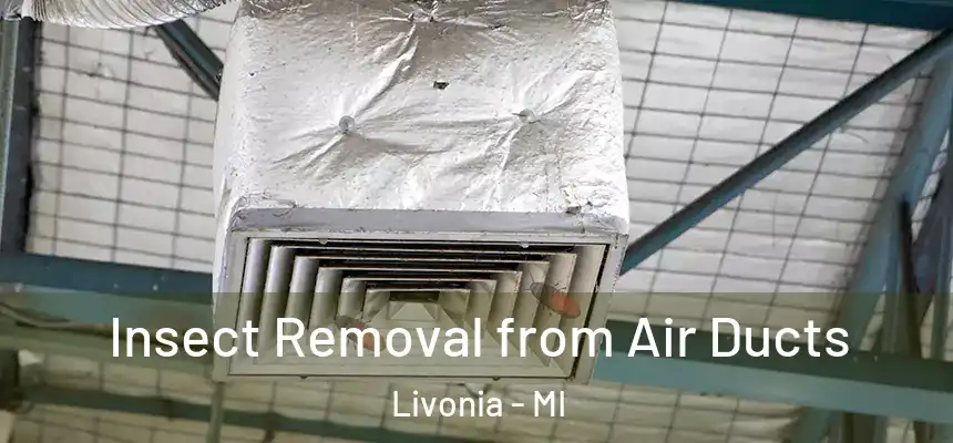  Insect Removal from Air Ducts Livonia - MI