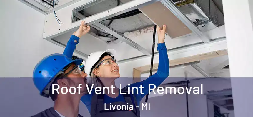  Roof Vent Lint Removal Livonia - MI