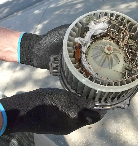 About Air Duct Mice Removal in Livonia, MI