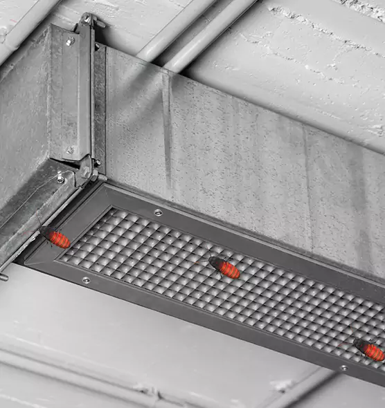 Affordable Insect Removal from Air Ducts in Livonia, MI