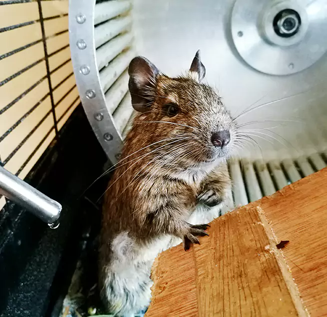 Why Homeowners & Businesses Trust Us Livonia, MI?