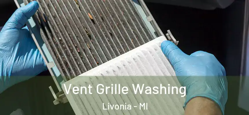  Vent Grille Washing Livonia - MI